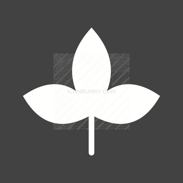 600x600 Autumn Leaf Glyph Inverted Icon