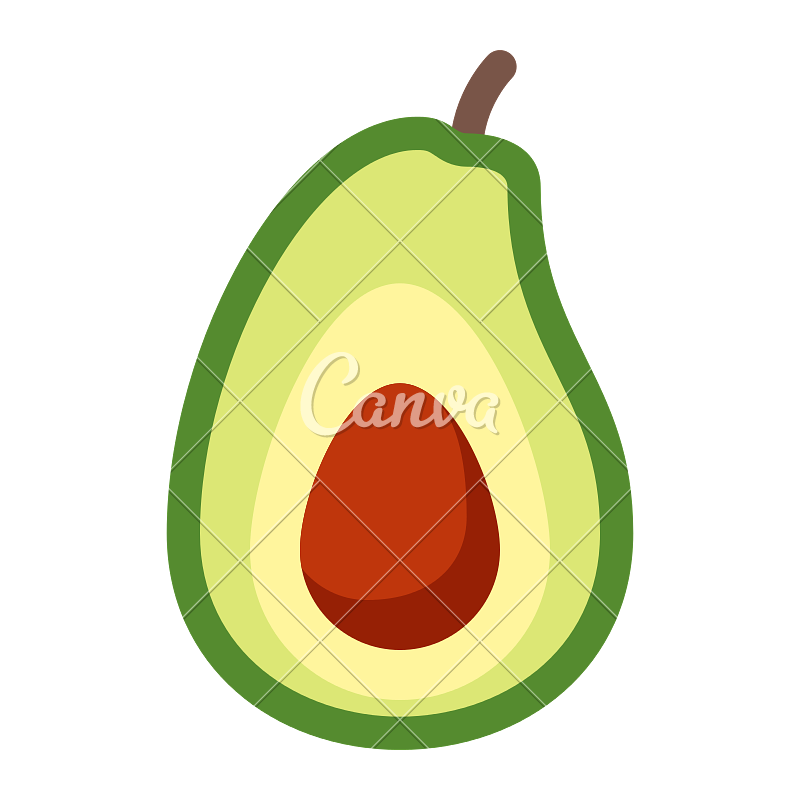 800x800 Avocado