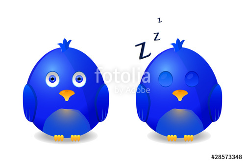 500x331 Blue Awake And Sleeping Bird Icon Isolated On White Background