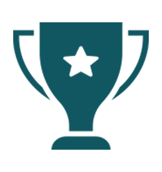 320x340 Award Icon