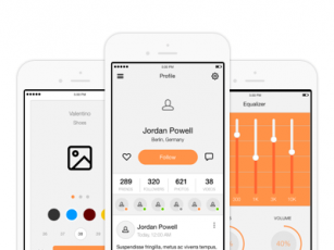 307x230 Widget Libraries