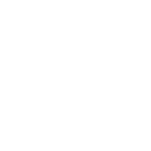 300x300 Icon Retailer Cake