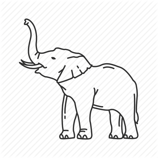 512x512 African Elephant, Asian Elephant, Baby Elephant, Circus, Elephant