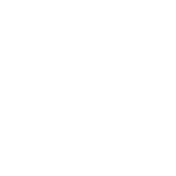 256x256 Free White Baby Feet Icon