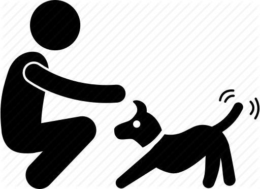 512x372 Activity, Backyard, Cheerful, Dog, Happy, Lover, Pet Icon