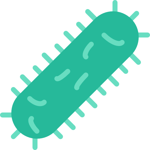 512x512 Bacteria