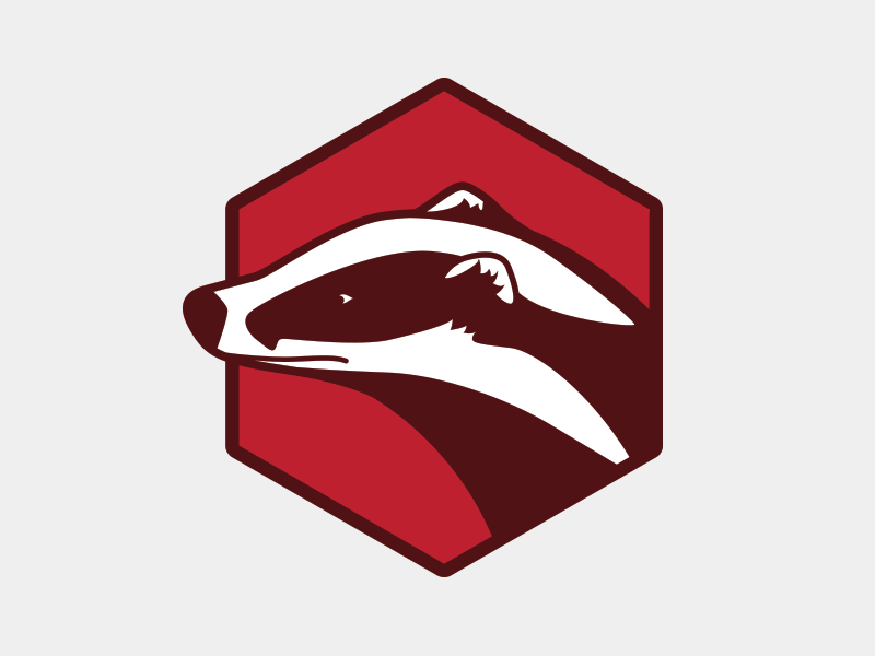 800x600 Badger Icon