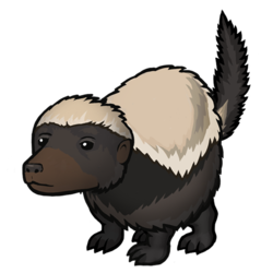 250x250 Honey Badger