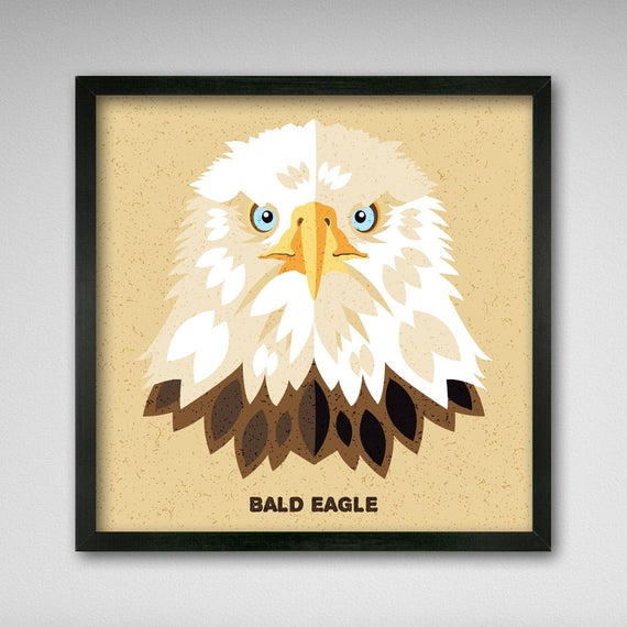 570x570 Bald Eagle Graphic Icon Print Etsy