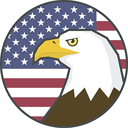 425x425 Cool Simple American Flag And Bald Eagle Cartoon Icon