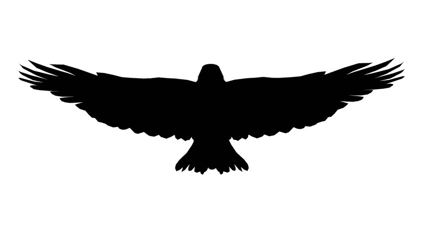 852x480 Eagle Icon Png