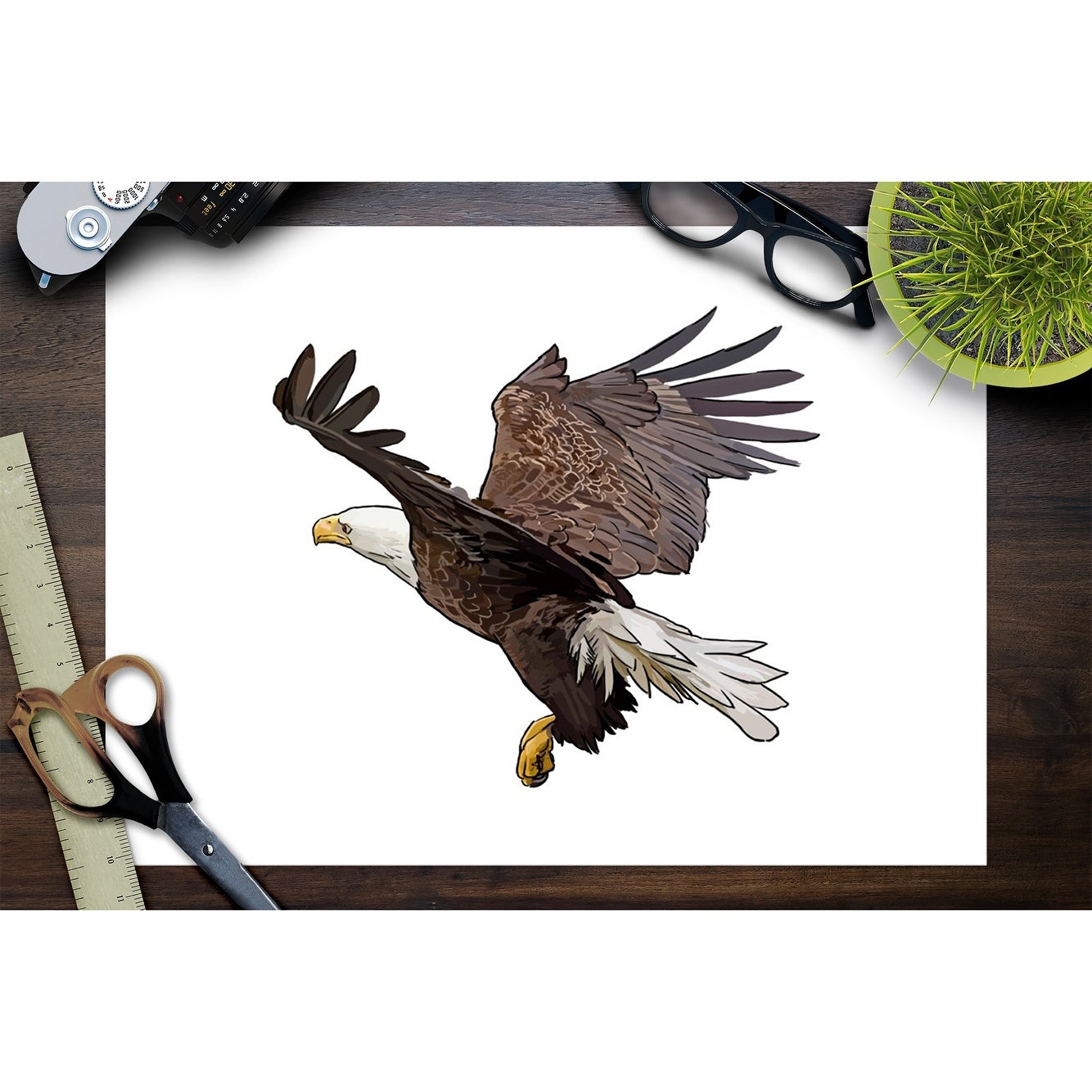 1334x1334 Shop Bald Eagle Landing