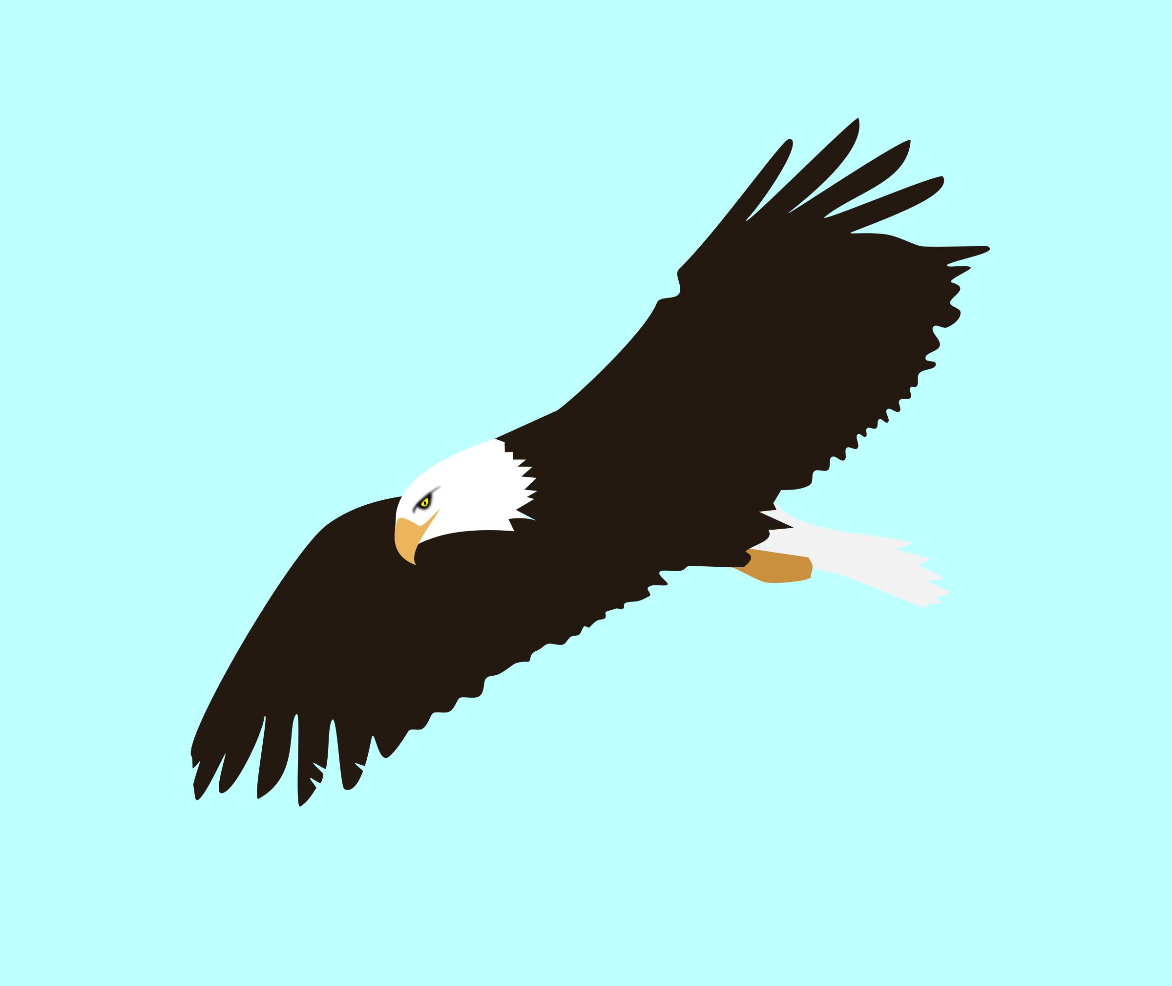 2400x2018 Soaring Eagle Icons Png