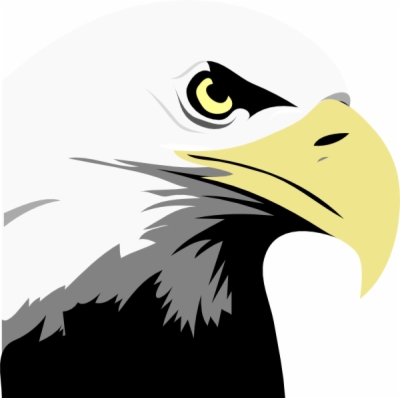 400x398 Eagle Icon Free Png Download