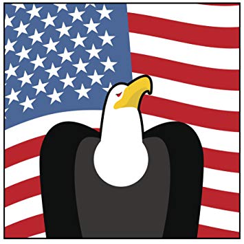 355x355 Patriotic American Flag And Bald Eagle Icon Vinyl