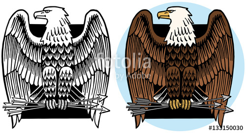 500x271 American Bald Eagle Icon Stock Image And Royalty Free Vector