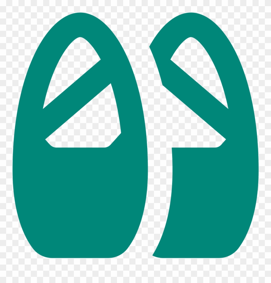 Free Ballet Shoes Icon Clipart 880x920 Free Ballet Shoes Icon Clipart