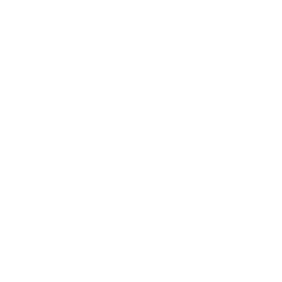 256x256 White Balloon Icon