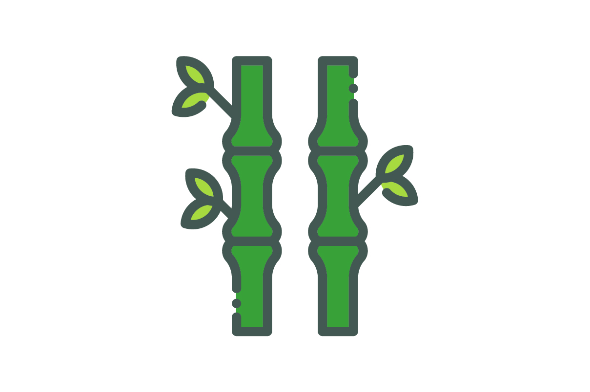 1209x805 Bamboo Icon Graphic