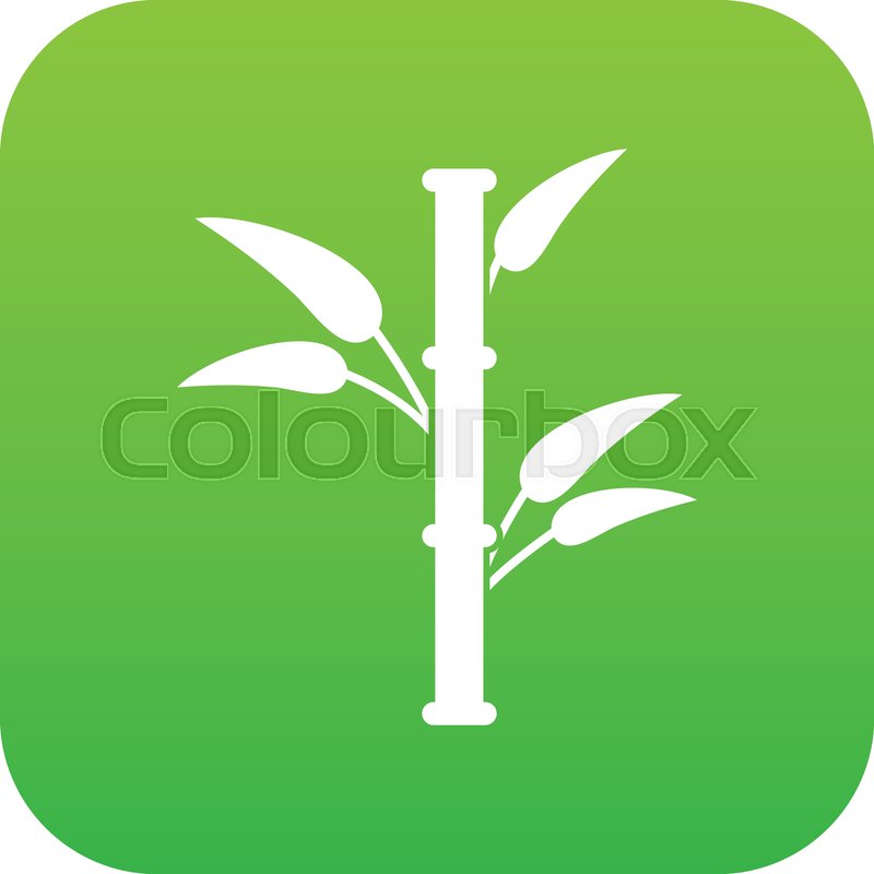 800x800 Bamboo Icon Digital Green For Any Stock Vector Colourbox