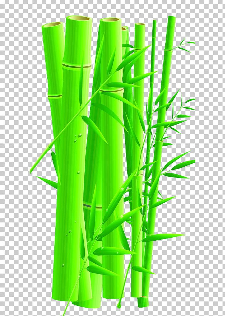 728x1020 Bamboo Cartoon Png, Clipart, Angle, Bamboo, Bamboo Icon, Bamboo