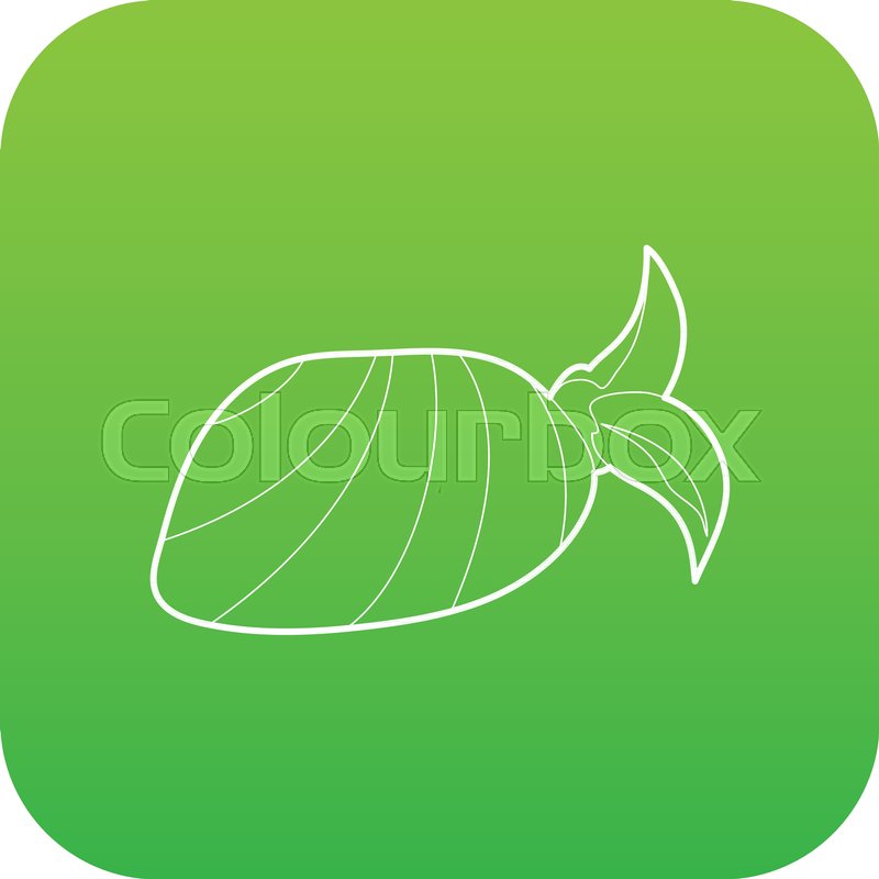 800x800 Bandana Icon Green Vector Isolated On Stock Vector Colourbox