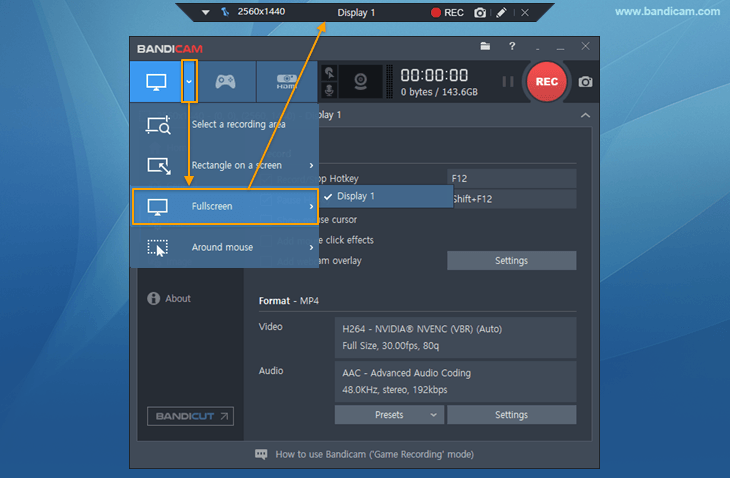 730x478 Bandicam Configuration