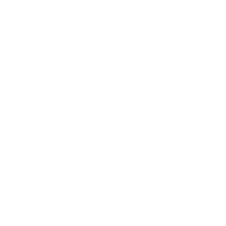256x256 Free White Flash Bang Icon