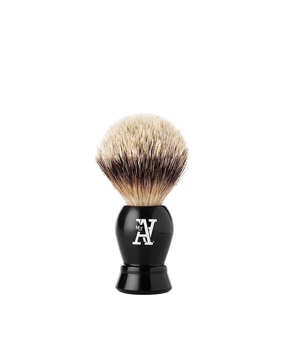 570x697 Icon Mr A The Brush