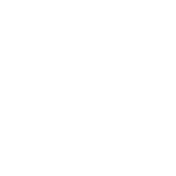 256x256 White Barcode Icon