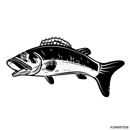 500x500 Perch Fish Icon Isolated On White Background Design Element