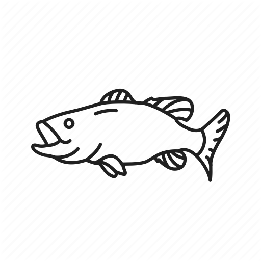 512x512 Bass, Fish, Game Fish, Largemouth Bass, Sport Fishing, Widemouth