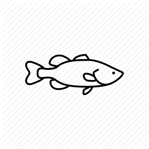 512x512 Bass, Fish, Menu, Restaurant, Sea, Seafood, Sealife Icon
