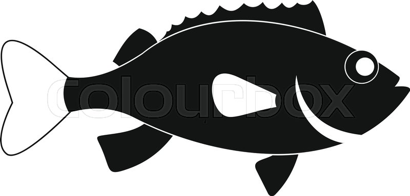 800x384 Sea Bass Fish Icon Simple Stock Vector Colourbox
