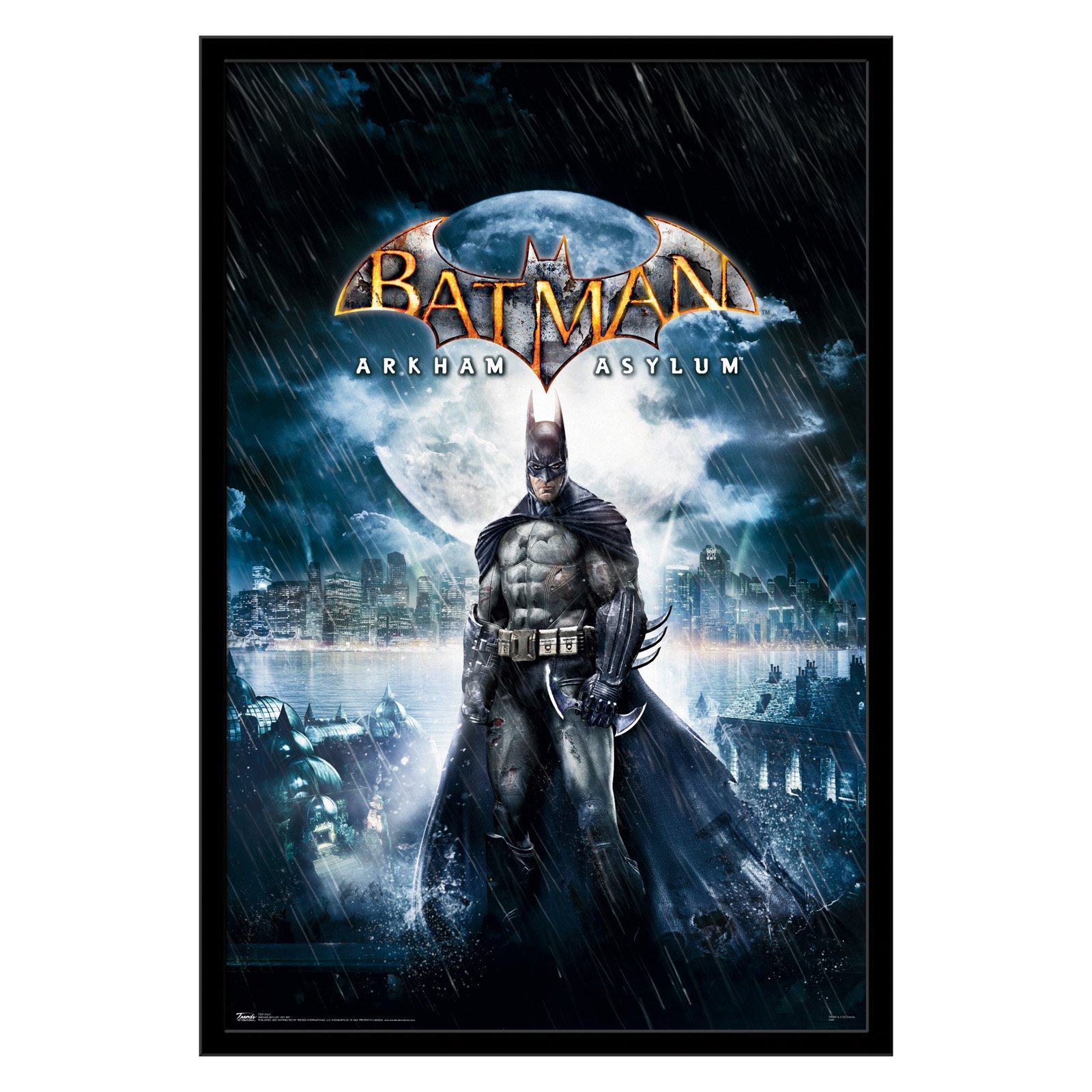 1600x1600 Trends International Arkham Asylum Poster Products