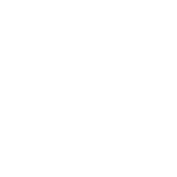 256x256 White Batman Icon