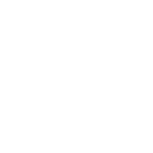 300x300 Fast Battery Change