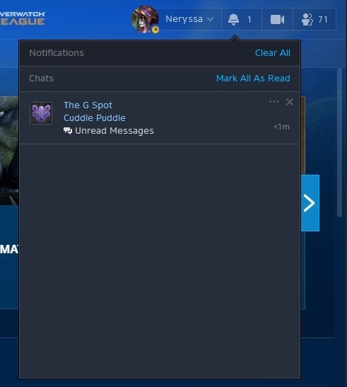 491x547 Battlenet To Add Giphy Support, Youtube Links, Mentions