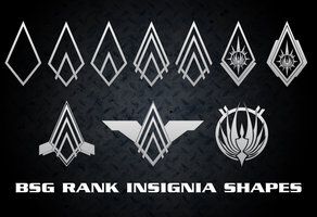 292x200 Bsg Rank Pin Vector Shapes