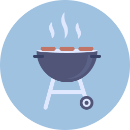 256x256 Barbecue Icon Flat