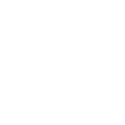 256x256 White Beach Icon