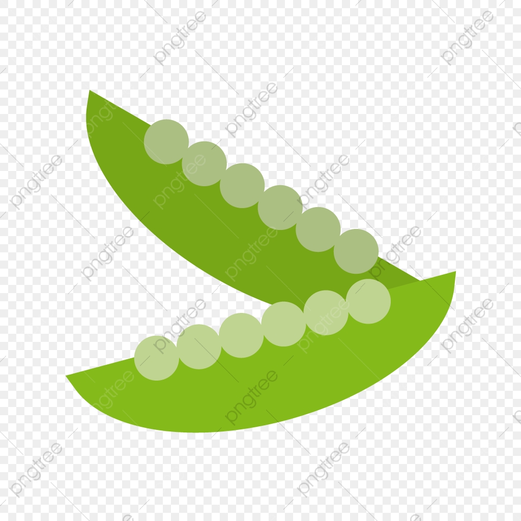1024x1024 Beans Vector Icon, Bean Icon, Beans Icon, Food Icon Png And Vector