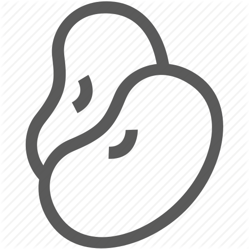 512x512 Bean, Blackfast, Kidney Bean Icon