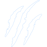 200x200 Bear Claw Design Group Toronto