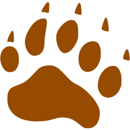 256x256 Brown Footprints Bear Icon
