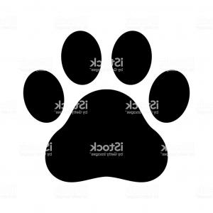 Californian Bear Paw Print Bear Footprint With Vector Soidergi 300x300 Californian Bear Paw Print Bear Footprint With Vector Soidergi