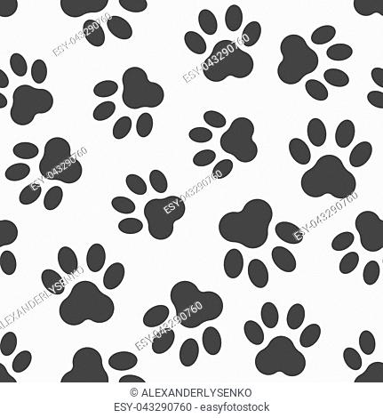 Print Of A Bear Paw Stock Photos And Images Age Fotostock 431x470 Print Of A Bear Paw Stock Photos And Images Age Fotostock