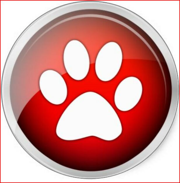 Bear Paws Icon 618x628 Bear Paws Icon
