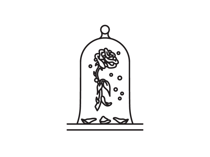 800x600 Enchanted Rose