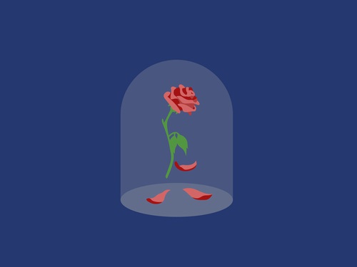 500x375 Picture From Icon Pop Quiz App On We Heart It